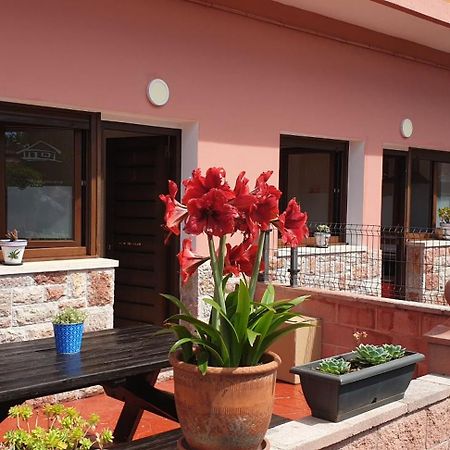 Apartamentos Fermin Cangas de Onis Exterior photo